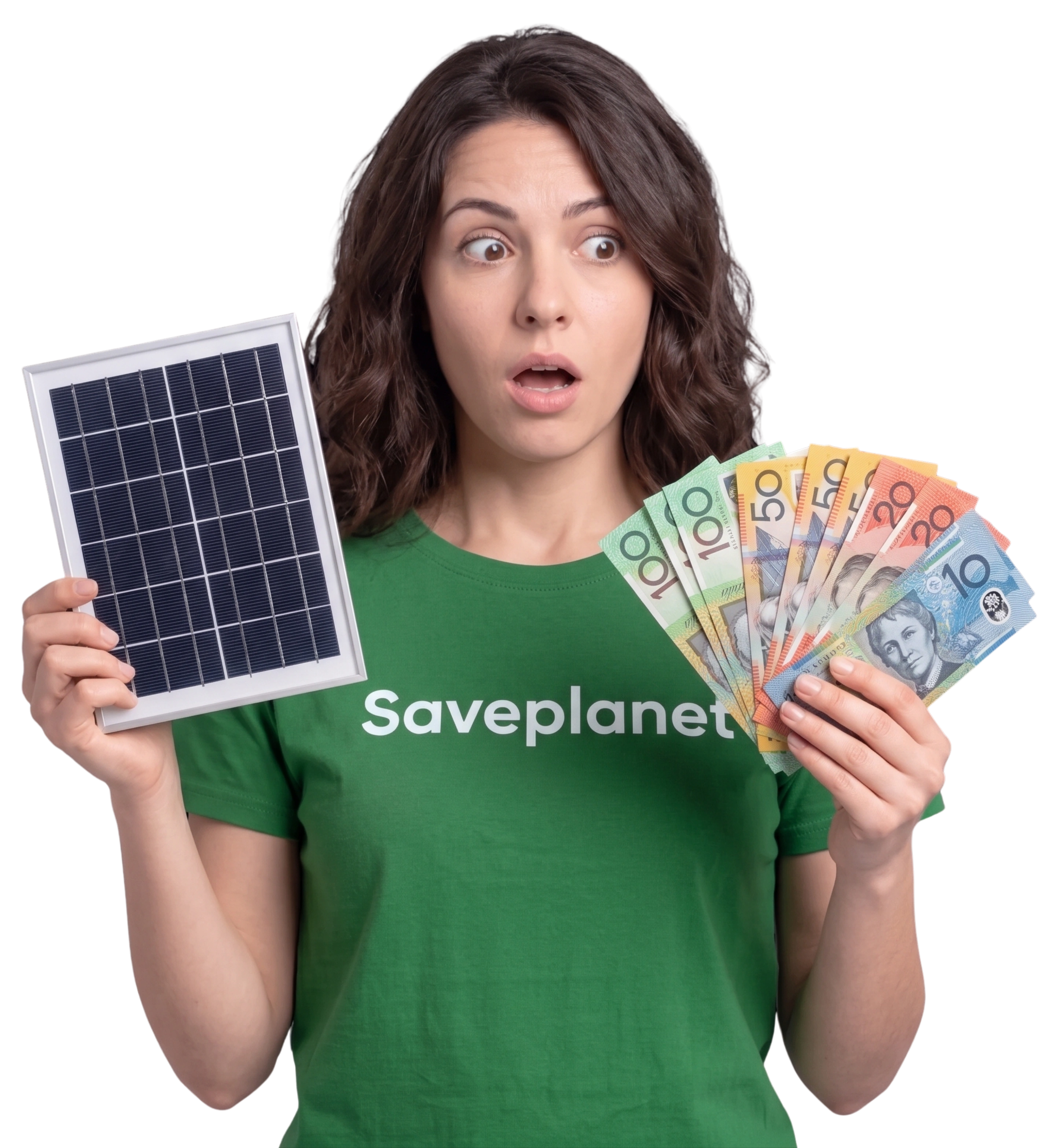 SavePlanet Rebate Consultation
